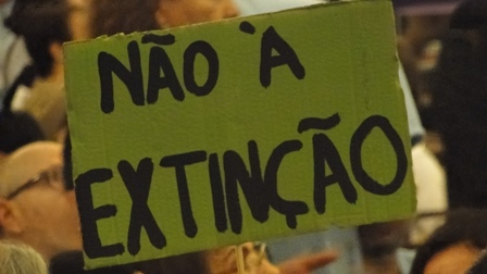 Notícias CEAPE Notícias CEAPE